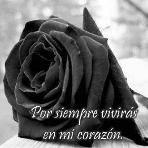 Meet your Posher, Gloria